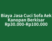 Biaya Jasa Cuci Sofa Aek Kanopan Berkisar Rp30.000-Rp100.000