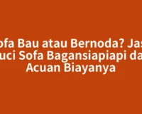 Sofa Bau atau Bernoda? Jasa Cuci Sofa Bagansiapiapi dan Acuan Biayanya