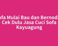 Sofa Mulai Bau dan Bernoda? Cek Dulu Jasa Cuci Sofa Kayuagung