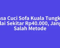Jasa Cuci Sofa Kuala Tungkal Mulai Sekitar Rp40.000, Jangan Salah Metode