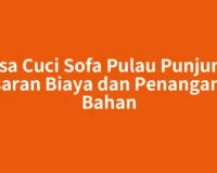 Jasa Cuci Sofa Pulau Punjung: Kisaran Biaya dan Penanganan Bahan