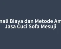 Kenali Biaya dan Metode Aman Jasa Cuci Sofa Mesuji