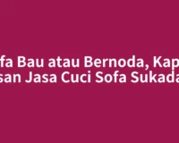 Sofa Bau atau Bernoda, Kapan Pesan Jasa Cuci Sofa Sukadana